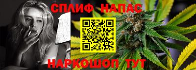 молекула духа Усть-Джегута