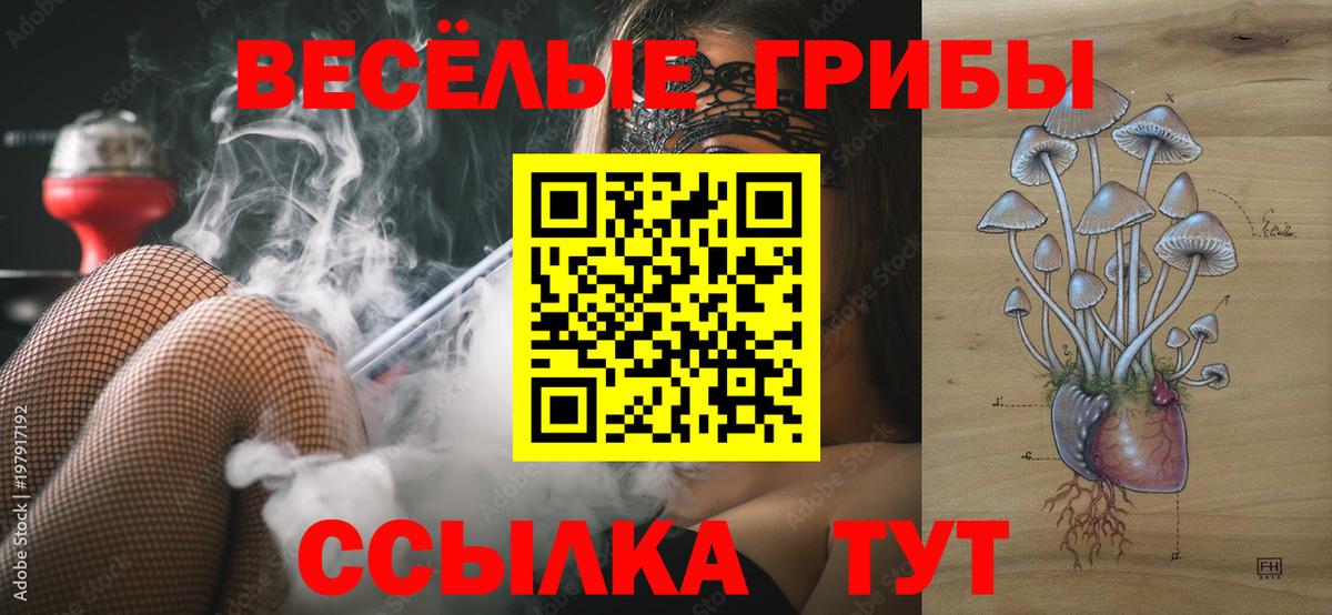 как найти наркотики  Псилоцибиновые грибы Magic Shrooms  Вход с VPN  Богородск 